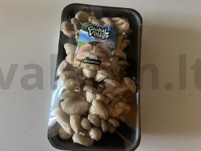 Grybų paštetas iš voveraičių Žingsnis 1