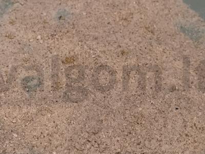 Kiaulienos šnicelis pietums arba vakarienei Žingsnis 3