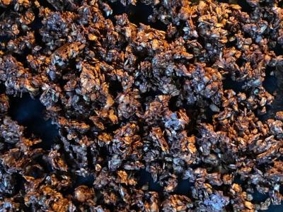 Šokoladinė granola namuose Žingsnis 9