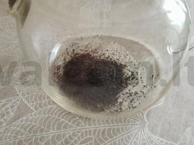 Naudingas arbata per 20 minučių Žingsnis 1