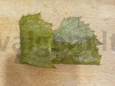 Dolma su jautienos faršu, ryžiais ir ciberžole Žingsnis 10