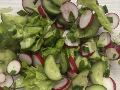 Salotos su agurkais ir ridikėliais pagrindine nuotrauka