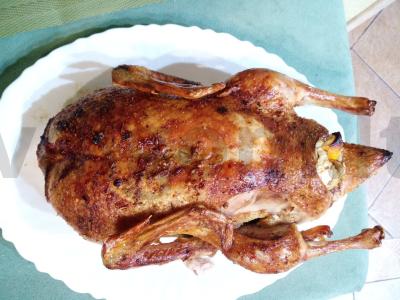 Antis orkaitėje su apelsinais Žingsnis 7