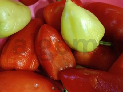 Įdarytos paprikos su prieskoniais Žingsnis 8