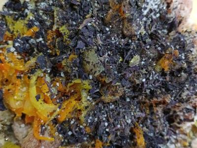 Įdarytos paprikos su prieskoniais Žingsnis 11