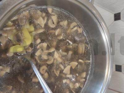 Grybų sriuba su daržovėmis ir pievagrybiais pagrindine nuotrauka