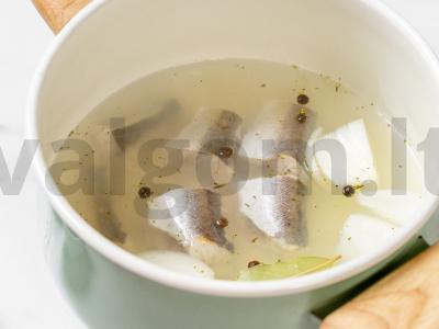 Lenkiška žuvis Žingsnis 2