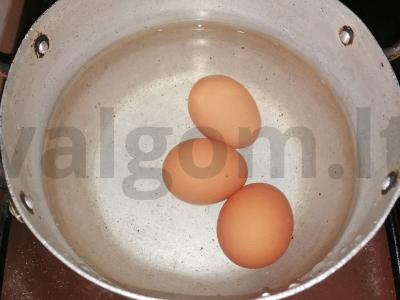 Silkė po šubomis „Žuvų karalystė“ Žingsnis 1