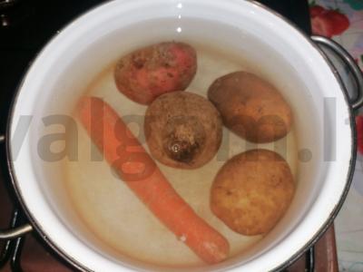 Silkė po šubomis „Žuvų karalystė“ Žingsnis 2