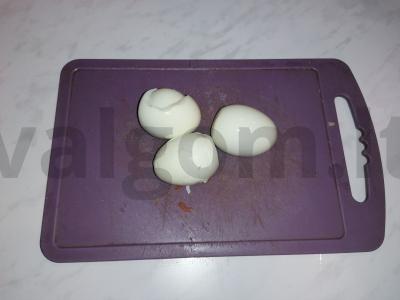 Silkė po šubomis „Žuvų karalystė“ Žingsnis 15