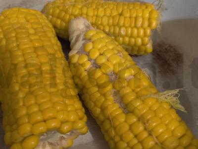 „Auksinė“ kukurūza Žingsnis 1