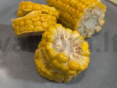 „Auksinė“ kukurūza pagrindine nuotrauka