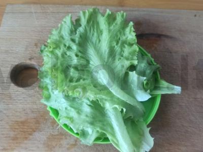 Salotas „Žalioji kalva“ Žingsnis 2