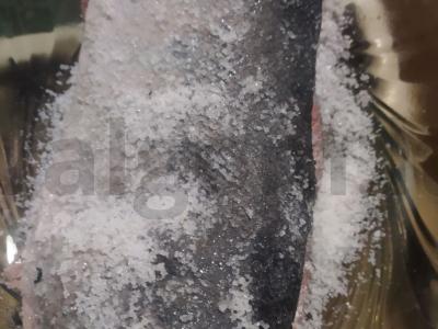 Sūdyta žuvis Žingsnis 3