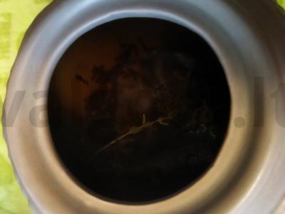 Skanus juodas arbata su barbaru, imbieru ir muskato riešutu Žingsnis 7