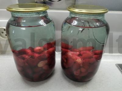 Šaltalankių kompotas žiemai Žingsnis 2