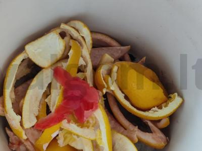 Citrusinė želė su grietine Žingsnis 3