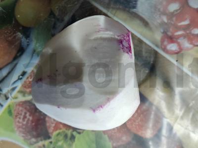 Salotas „Radissmo“ Žingsnis 1