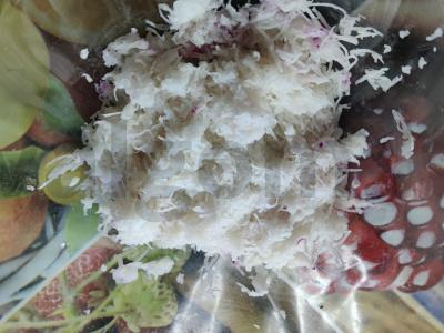 Salotas „Radissmo“ Žingsnis 2