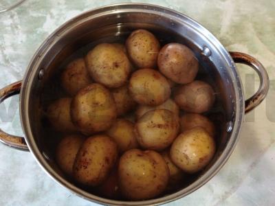 Įdarytas bulvės Žingsnis 1