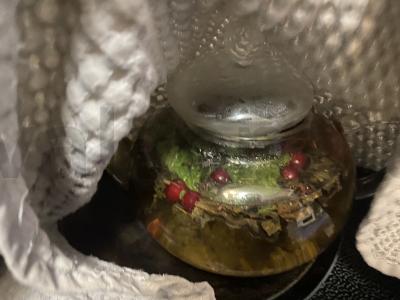 Žalioji arbata su spanguolėmis, mėtomis ir medumi Žingsnis 8