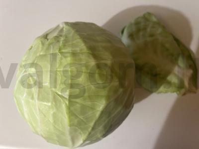 Traškūs pyragėliai su traškia kopūstų įdaru Žingsnis 1