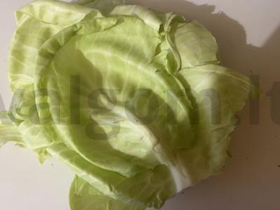 Traškūs pyragėliai su traškia kopūstų įdaru Žingsnis 3