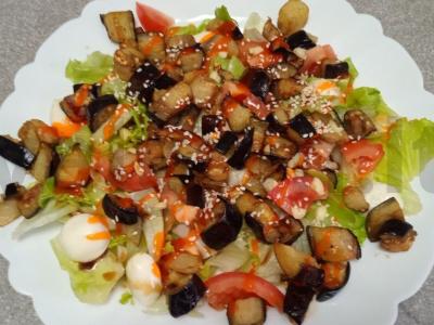 Salotas su mocarela ir baklažanu pagrindine nuotrauka