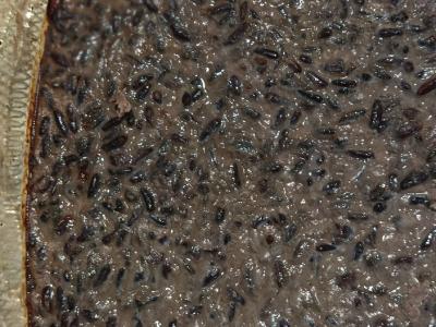 Kiaulienos kepenėlių ir laukinių ryžių apkepas Žingsnis 4