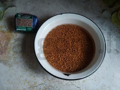 „Raudonas“ salotas Žingsnis 1