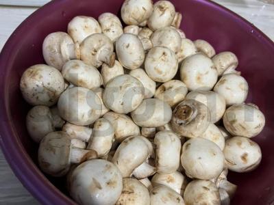 Pikantiški pievagrybiai Žingsnis 1