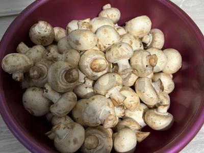 Pikantiški pievagrybiai Žingsnis 2