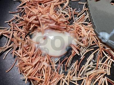 Turkiška saldainių su makaronais, medumi ir kokosų drožlėmis Žingsnis 4