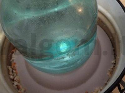 Skani rauginta kopūstai su morkomis Žingsnis 3