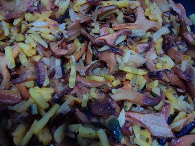 Raudonviršiai iš Baikalo miško su jauna bulve pagrindine nuotrauka