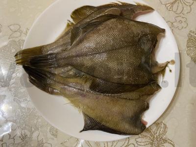 Kepta plokščia žuvis su lygia auksine plutele Žingsnis 1