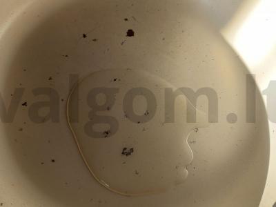 Blynai iš pieno išrūgų Žingsnis 5