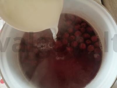 Šaltalankių kisielius iš šaldytų vyšnių Žingsnis 5