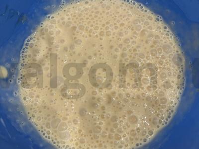 Nuo prinokusių šviežių mangų pagamintas ledai Žingsnis 10