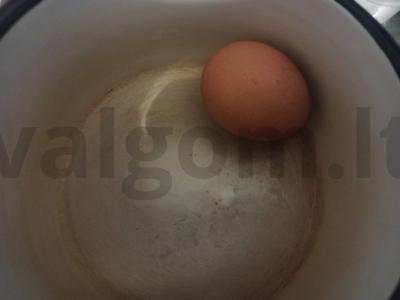 Salotas „Kapitonų istorija“ Žingsnis 1