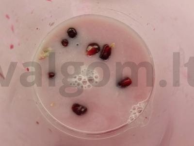 Pieno kokteilis su granatu ir cinamonu Žingsnis 2