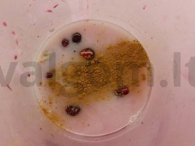 Pieno kokteilis su granatu ir cinamonu Žingsnis 3