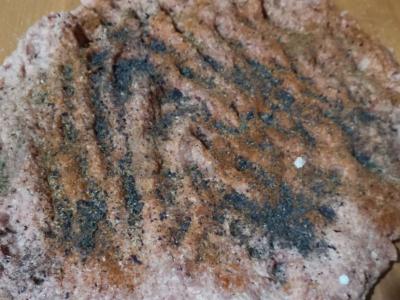 Sultingo kotletų faršas Žingsnis 5