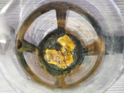 Šaltalankių arbata Žingsnis 2