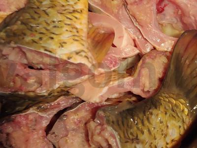 Žuvis „Fiš“ Žingsnis 6