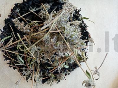 Vitaminų arbata su aviečių lapais ir džiovintomis braškėmis Žingsnis 2