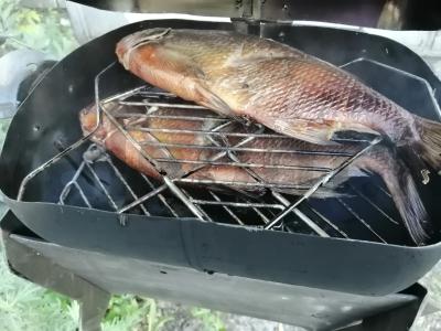 Rūkyta karšis ant vyšnių ir kriaušių drožlių Žingsnis 2