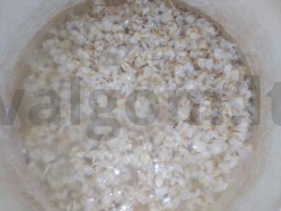 Avižinė košė su džiovintais slyvomis pusryčiams Žingsnis 1