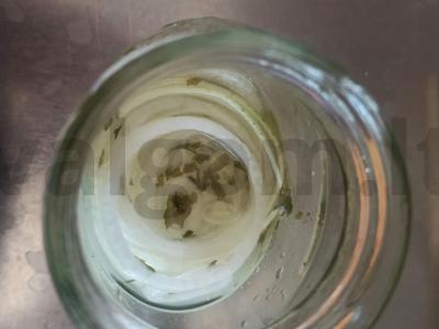 Marinuoti svogūnai su petražolėmis ir actu Žingsnis 3