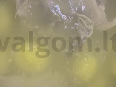 Daržovių sriuba su baklažanais ir vištiena Žingsnis 2